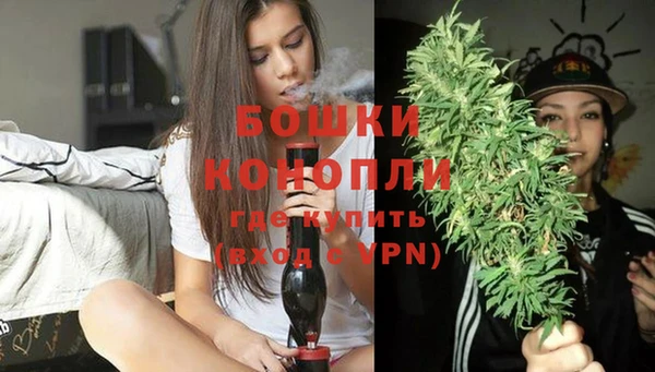 сатива Белоозёрский
