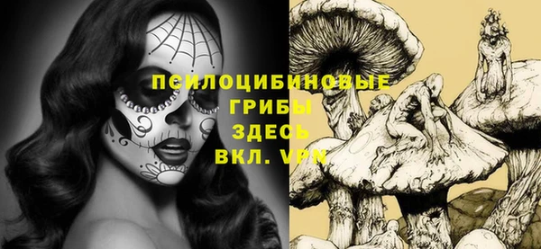 соль курить ск Богданович