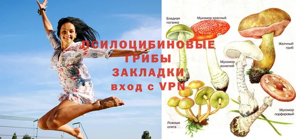 соль курить ск Богданович