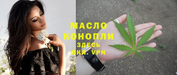 спиды Богородск